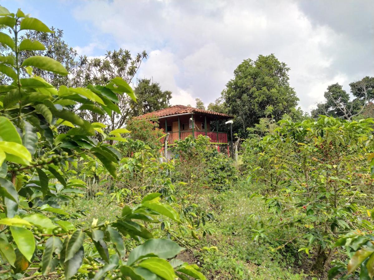 La Acuarela, Posada De La Monita Pereira Εξωτερικό φωτογραφία